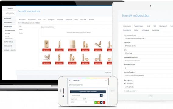 Vállalatirányítási rendszer